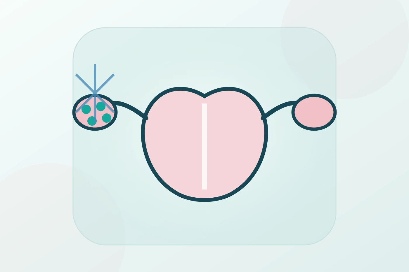 Woman discussing egg freezing eligibility, ovarian stimulation, egg retrieval, vitrification and storage planning with a fertility specialist in Turkey.